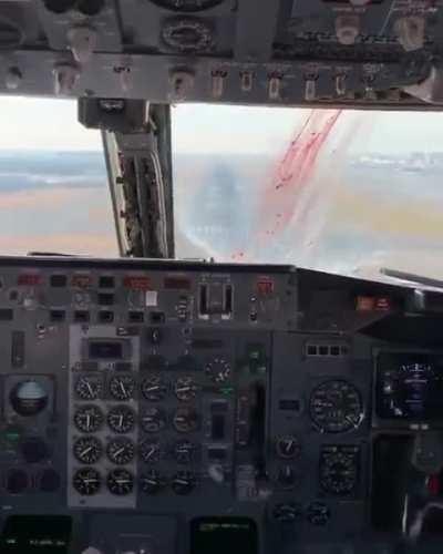 Birdstrike caught on tape from the flight deck