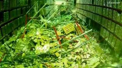 Now that's a lot of damage