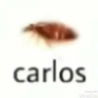 Carlos
