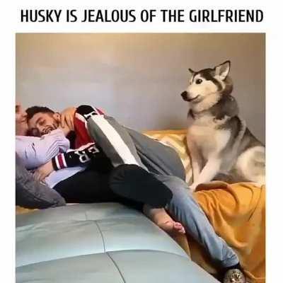 Huskey is Jealous of the girlfriend