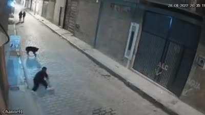 Asshole tries to kick doggo, made national news.