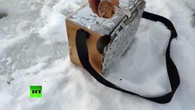 Eurasian water shrews are small, fast swimming mammals that can remain submerged for up to 20 seconds at a time, and their diet mainly consists of small fish, snails and amphibians. While two fishermen in Russia were ice fishing, a water shrew, lured by t