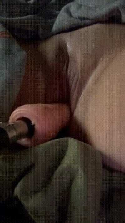 Bunny's Got Her [F]avourite Carrot 🥕🥰