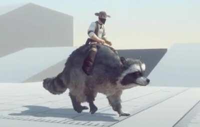 Here's a very unique Horse breed!