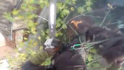 Death Knight trying to cut a tree