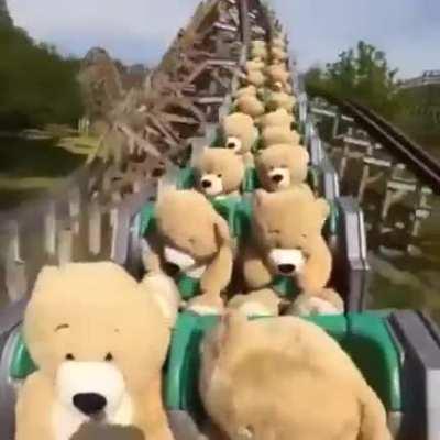 Когда парк аттракционов закрыт для всех, кроме его работников