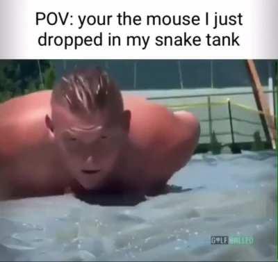 Personal favourite of mine.