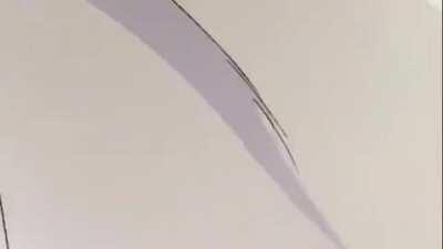 Piccolo goes to burger king.