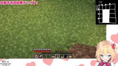 Every September Haachama Sneeze! May her sneezes bless you in these difficult times! And remember to give Haachama your love and support!