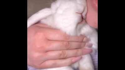 cassiopeia.exe stopped working