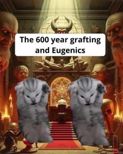 Tomatoes rot fast I guess