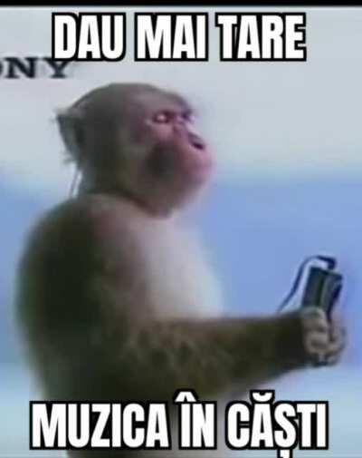 traim intro societate😔