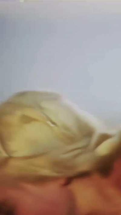 Emilia Clarke (Enhanced+Brightened)