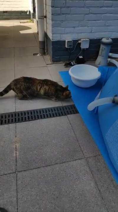 Interesting scare jump