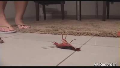 Brazilian Paty, Wearing flip-flops crushing crayfish while walking.