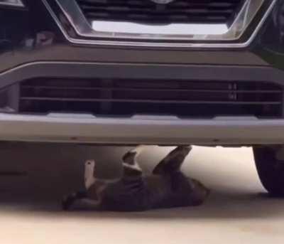 Hitcat cuts his victim's brake line