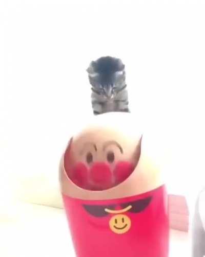 Training's going well