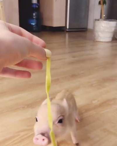 Trying to eat a noodle
