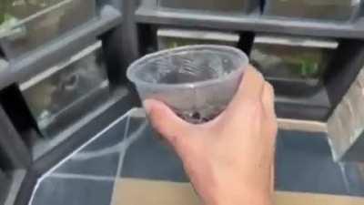 Third parties in apex are like