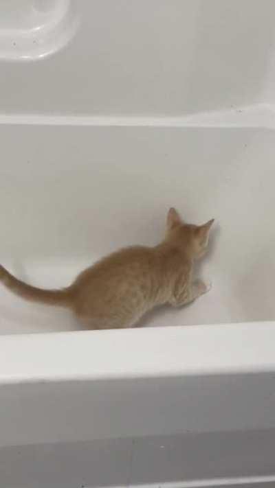 I wonder what goes on in his head?