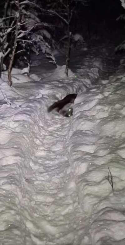 Buddha's first snow this winter