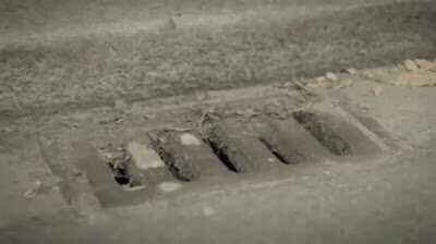 Wenn bei der Handesrepublik die Ordergebühr fällig ist..