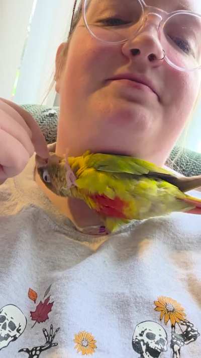 Ruby caught a severe silly bug!