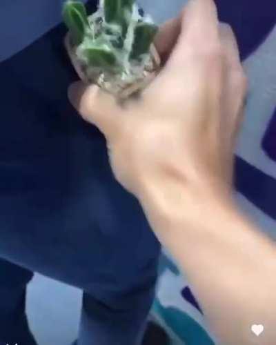 There's something in your pocket