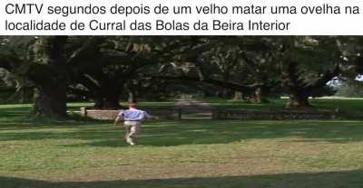 CMTV segundos depois de um velho matar uma ovelha