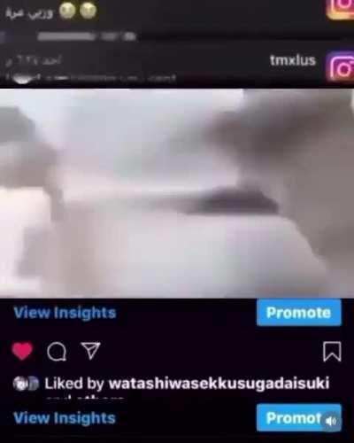 I Have Hsve Have Funny Instagram Cat Posts wohs is a b