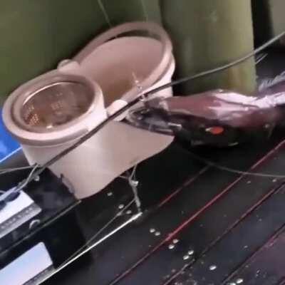 Ктоооо проживает на дне океана?