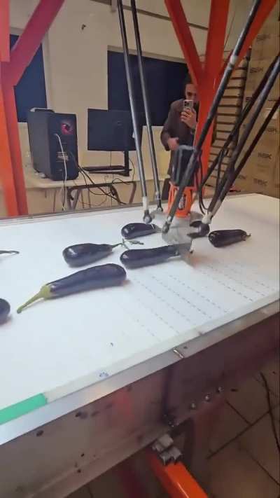 Automated Eggplant Mohel