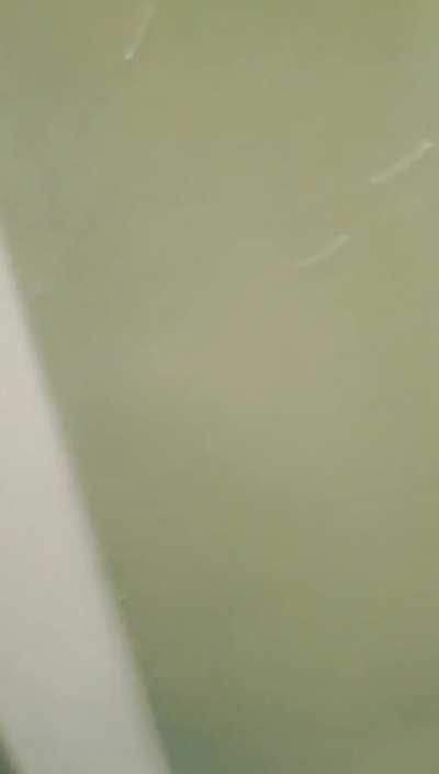 El pibe más educado.