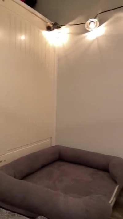 My husband made our pups their own cozy place!