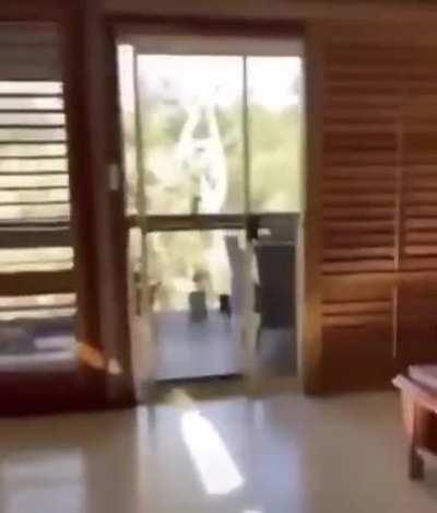 He found out nothing but lost something.