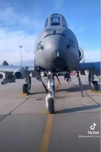 It’s not just good doggie that need a Boop the Snoot.