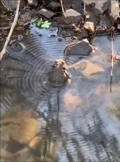 AAAAAAAAAAAAAAAAAAAAAAAAAAAAAAAAA