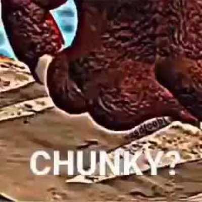 Why is donkey kong so thicc caw caw