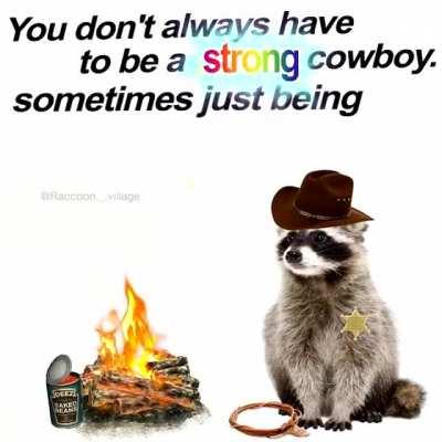 Me🦝irl