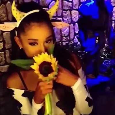 The definition of cute