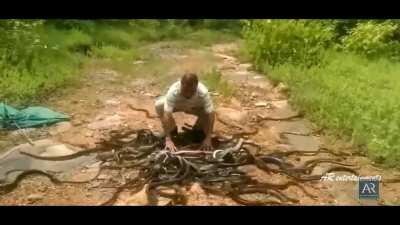 Imagine being on a hike