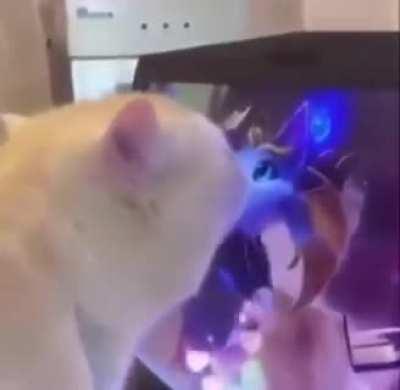 HE JUST LIKE ME FR FR