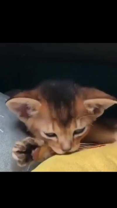 How to sleep in 5 seconds?