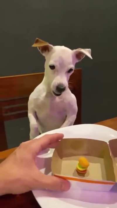 Wait a sec... That's not right...