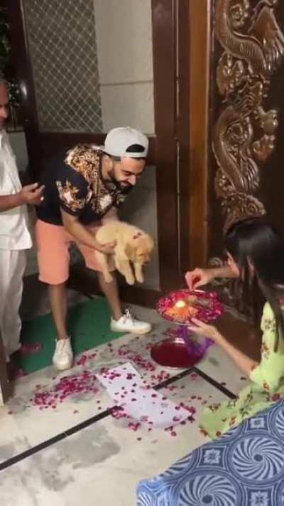 A grand welcome for the pup!