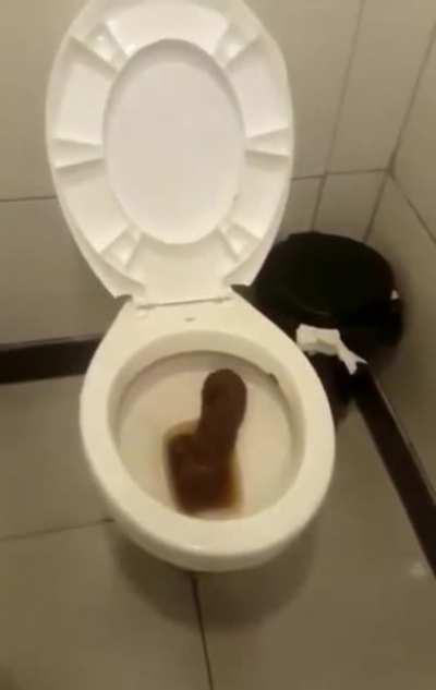 Ta porra kkkkkkkkkkkkkkkkk