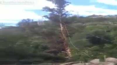 HMFT after This Tree Destroys My Sorry Ass...