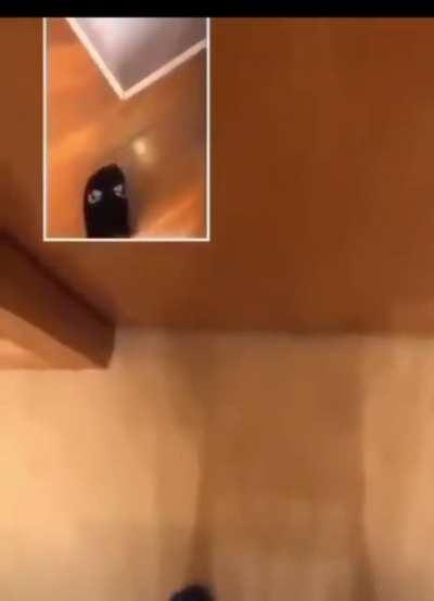 Facts (upvote so Jake can see it)