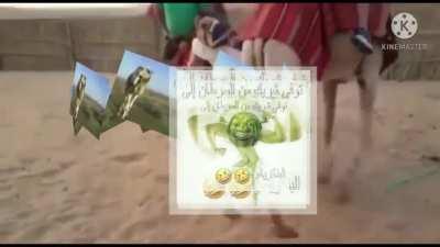 Camel sexy mrbeast gameplay free cal of doty 4k effort