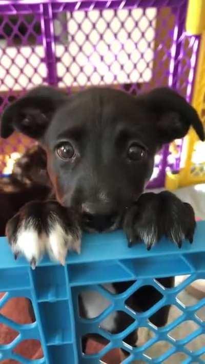 He captured my heart!